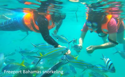 Freeport Bahamas snorkeling