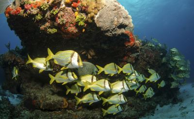 Cozumel Mexico