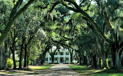 Rosedown plantation St Francisville